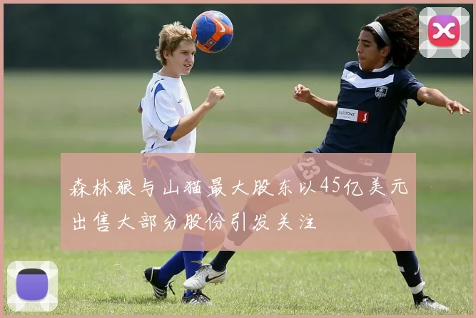 森林狼与山猫最大股东以45亿美元出售大部分股份引发关注