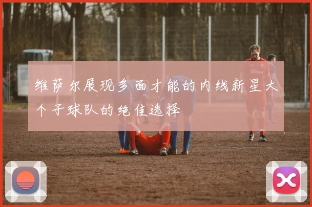 维萨尔展现多面才能的内线新星大个子球队的绝佳选择