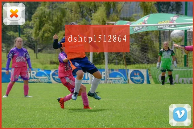 dshtpl512864